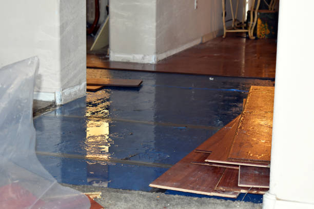 Professional Sewage Cleanup technician working in Sebewaing, MI